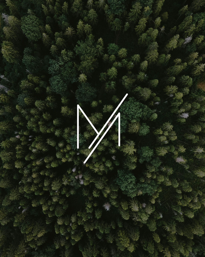 Monet Zlatibor lokacija, šuma